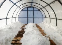 Нужен ли снег в теплице весной — положительные и отрицательные факторы, способы применения снега в теплице